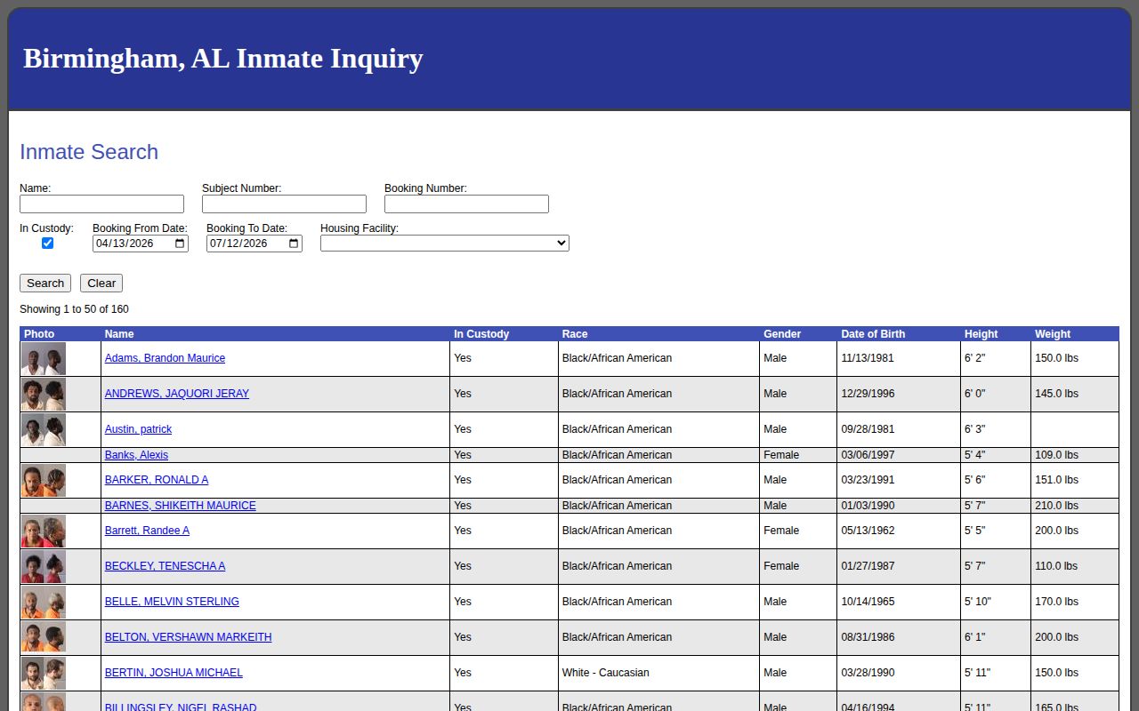 Birmingham municipal Tyler Inmate Inquiry portal for the city jail
